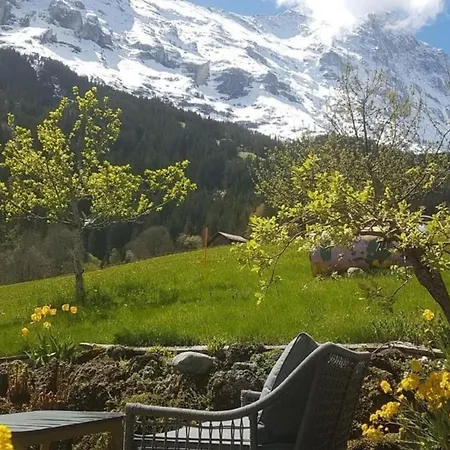 Bei Der Arve 4 Bett 公寓 格林德瓦