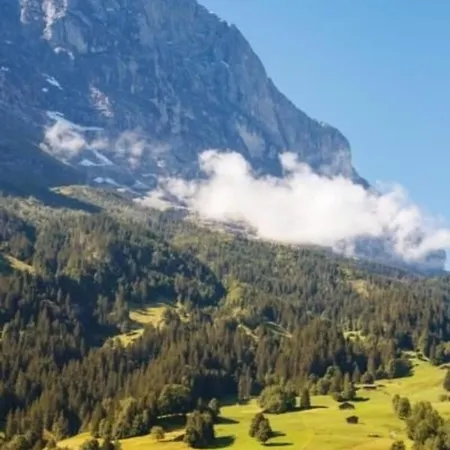 Bei Der Arve 4 Bett 公寓 格林德瓦